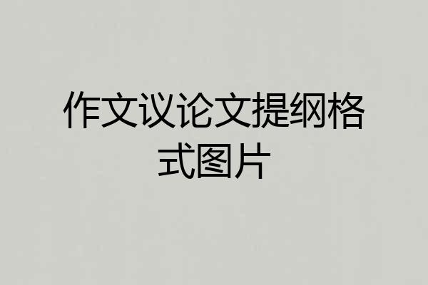 作文议论文提纲格式图片