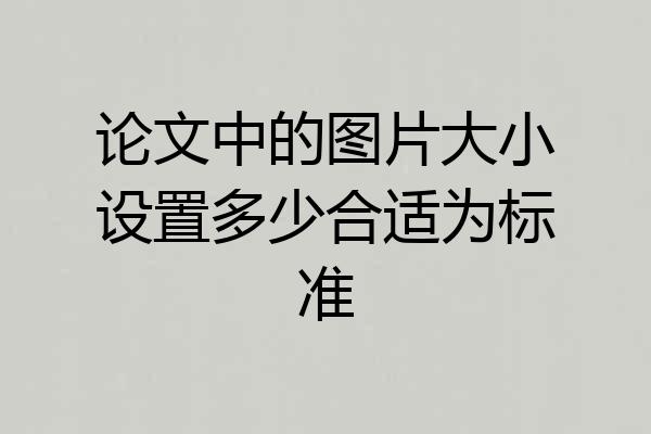论文中的图片大小设置多少合适为标准