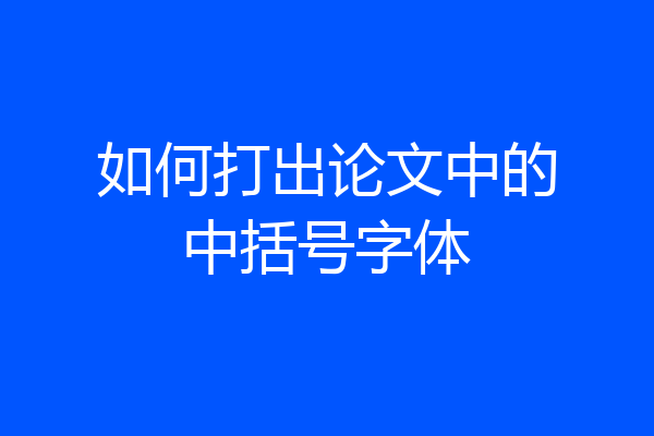 如何打出论文中的中括号字体