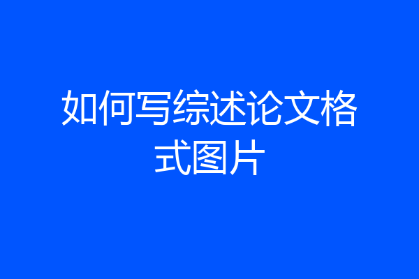 如何写综述论文格式图片