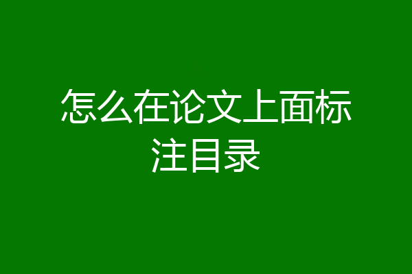 怎么在论文上面标注目录