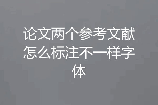 论文两个参考文献怎么标注不一样字体