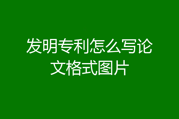 发明专利怎么写论文格式图片