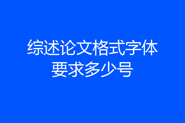 综述论文格式字体要求多少号