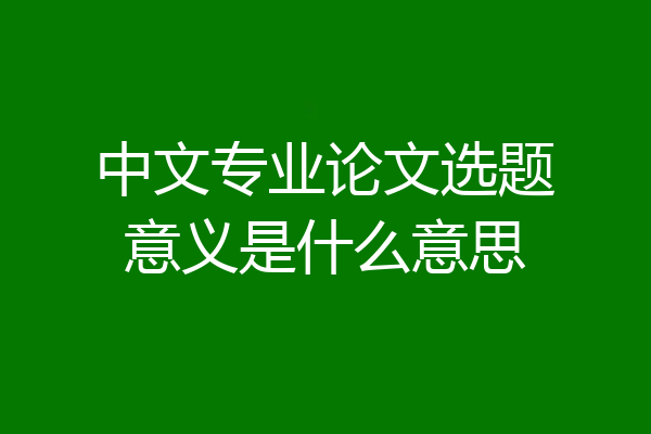 中文专业论文选题意义是什么意思