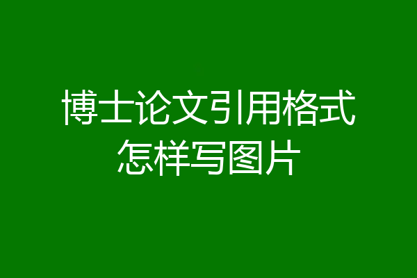 博士论文引用格式怎样写图片