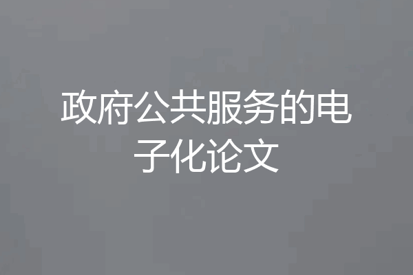 政府公共服务的电子化论文