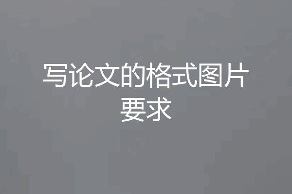 写论文的格式图片要求