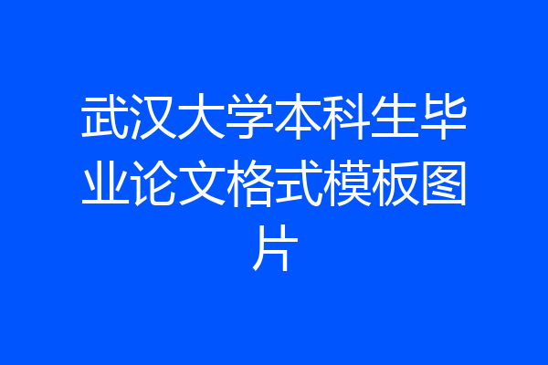 武汉大学本科生毕业论文格式模板图片