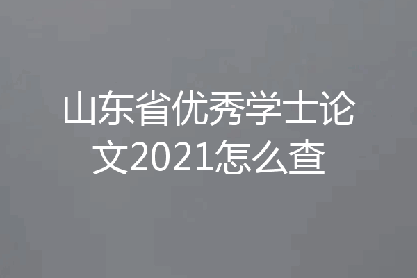 山东省优秀学士论文2021怎么查