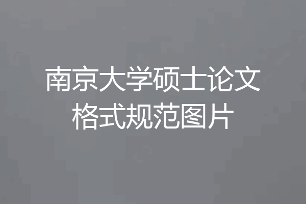 南京大学硕士论文格式规范图片