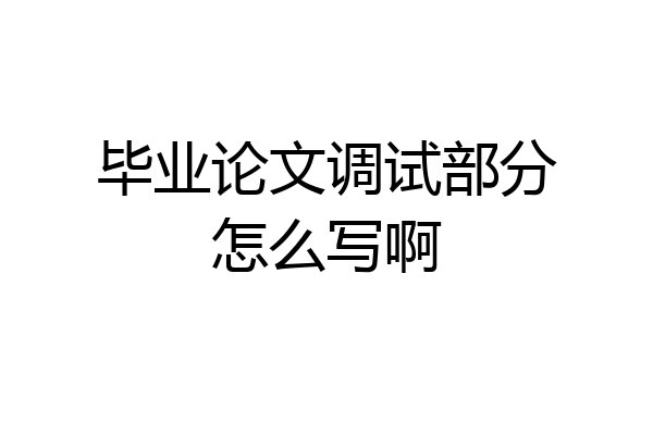 毕业论文调试部分怎么写啊