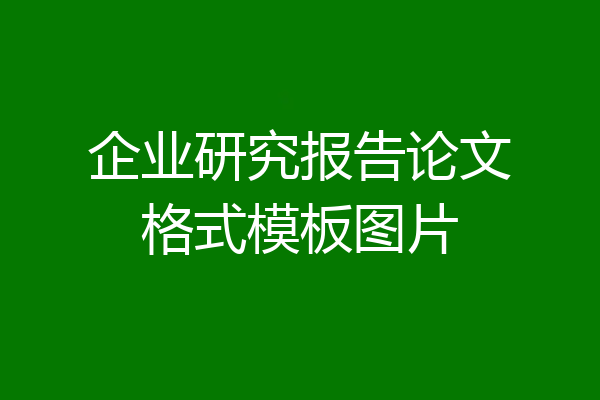 企业研究报告论文格式模板图片