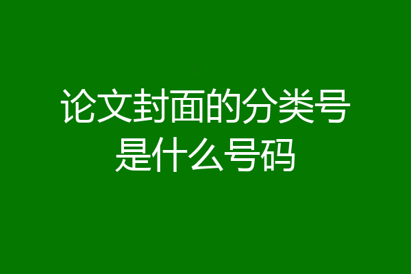 论文封面的分类号是什么号码