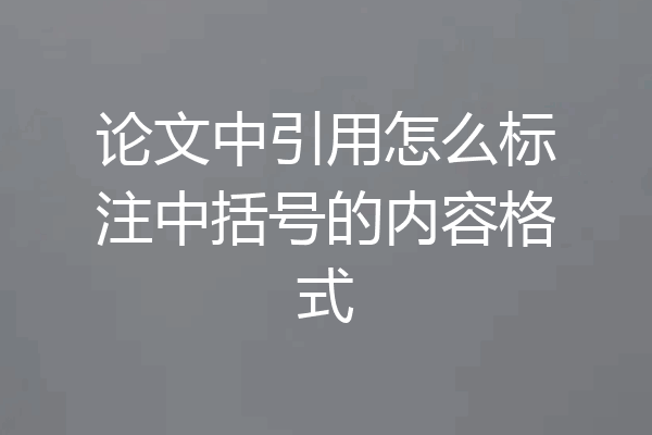 论文中引用怎么标注中括号的内容格式