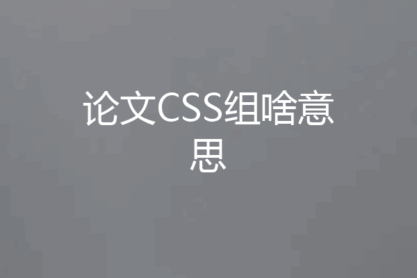 论文CSS组啥意思