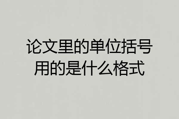 论文里的单位括号用的是什么格式
