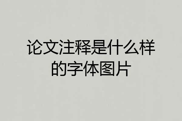 论文注释是什么样的字体图片