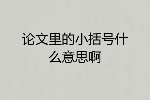 论文里的小括号什么意思啊