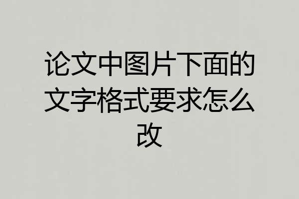 论文中图片下面的文字格式要求怎么改