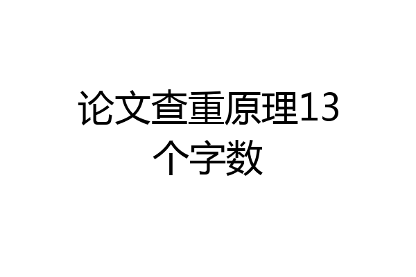 论文查重原理13个字数