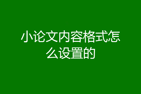 小论文内容格式怎么设置的