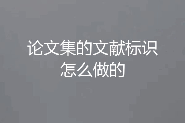 论文集的文献标识怎么做的