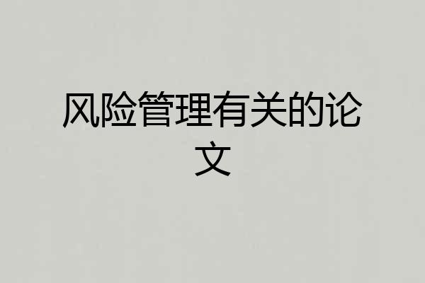 风险管理有关的论文