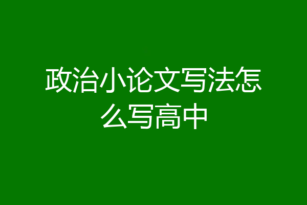政治小论文写法怎么写高中