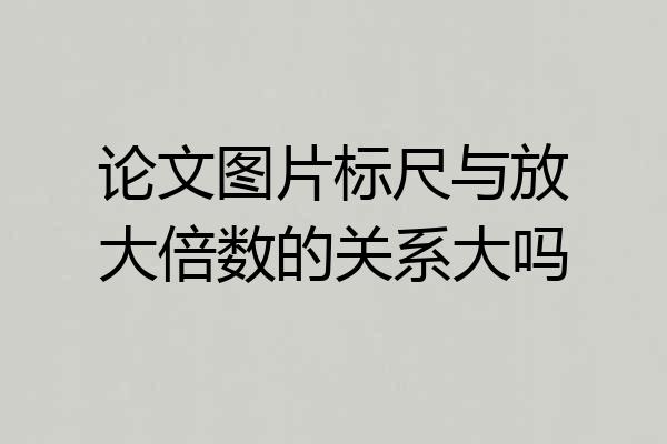 论文图片标尺与放大倍数的关系大吗