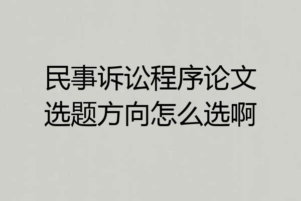 民事诉讼程序论文选题方向怎么选啊