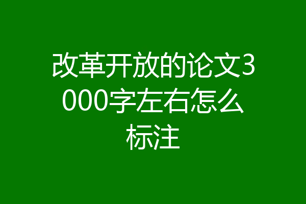 改革开放的论文3000字左右怎么标注
