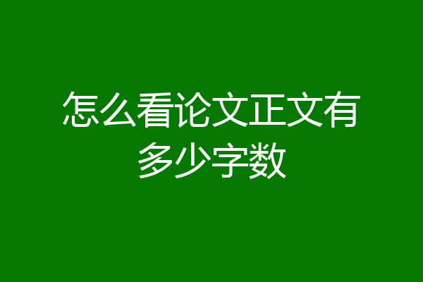 怎么看论文正文有多少字数