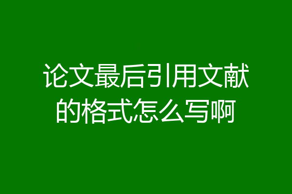 论文最后引用文献的格式怎么写啊