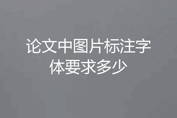 论文中图片标注字体要求多少