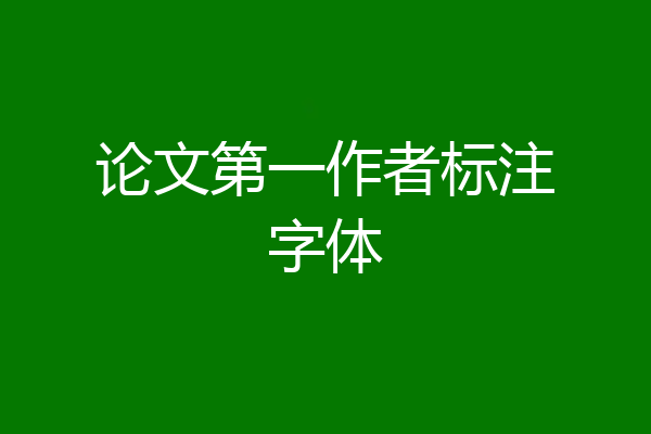 论文第一作者标注字体