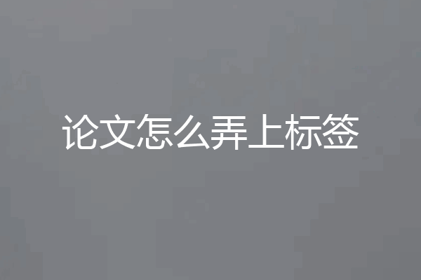 论文怎么弄上标签