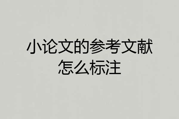 小论文的参考文献怎么标注