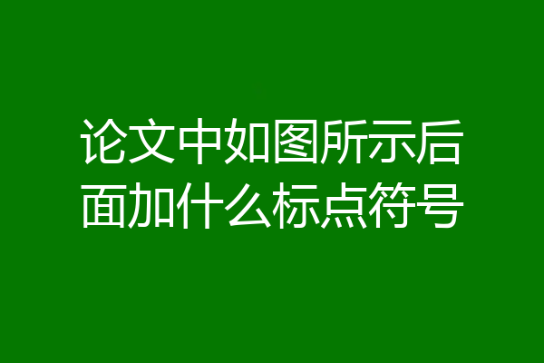 论文中如图所示后面加什么标点符号