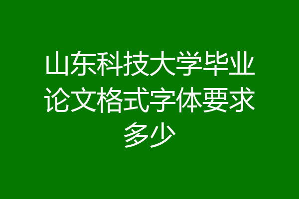 山东科技大学毕业论文格式字体要求多少