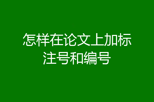 怎样在论文上加标注号和编号