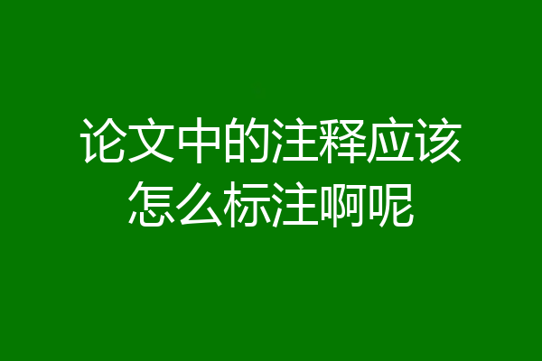 论文中的注释应该怎么标注啊呢