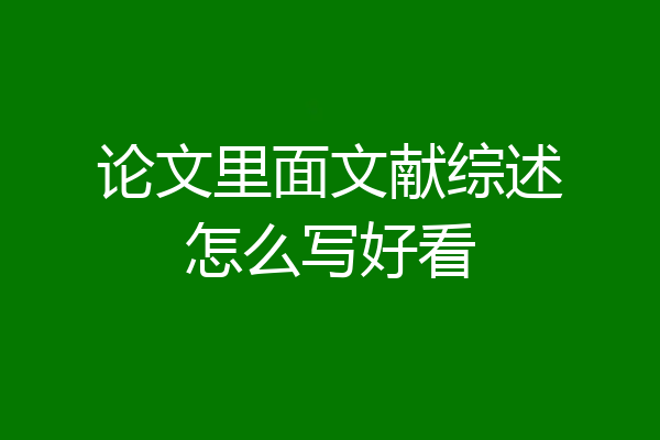 论文里面文献综述怎么写好看