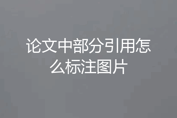论文中部分引用怎么标注图片