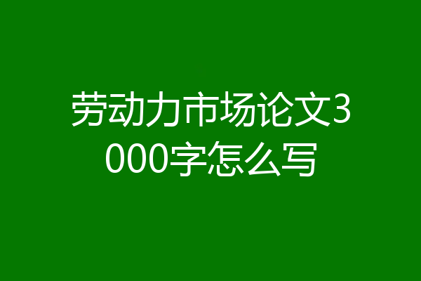 劳动力市场论文3000字怎么写