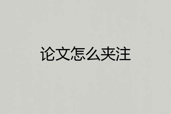 论文怎么夹注