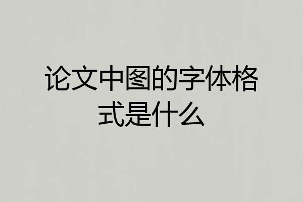 论文中图的字体格式是什么
