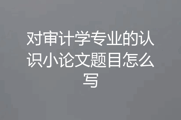 对审计学专业的认识小论文题目怎么写