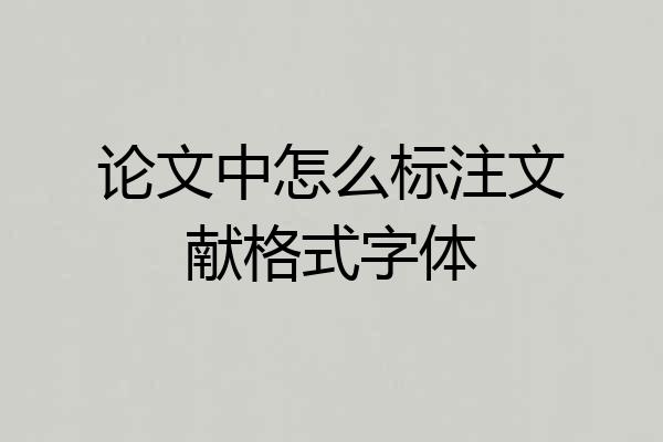 论文中怎么标注文献格式字体
