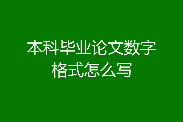 本科毕业论文数字格式怎么写
